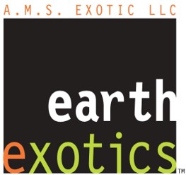 AMS Exotic LLC